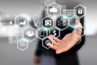 DTE能源CIO的数字化转型箴言 技术开发中，时间即价值的深层逻辑